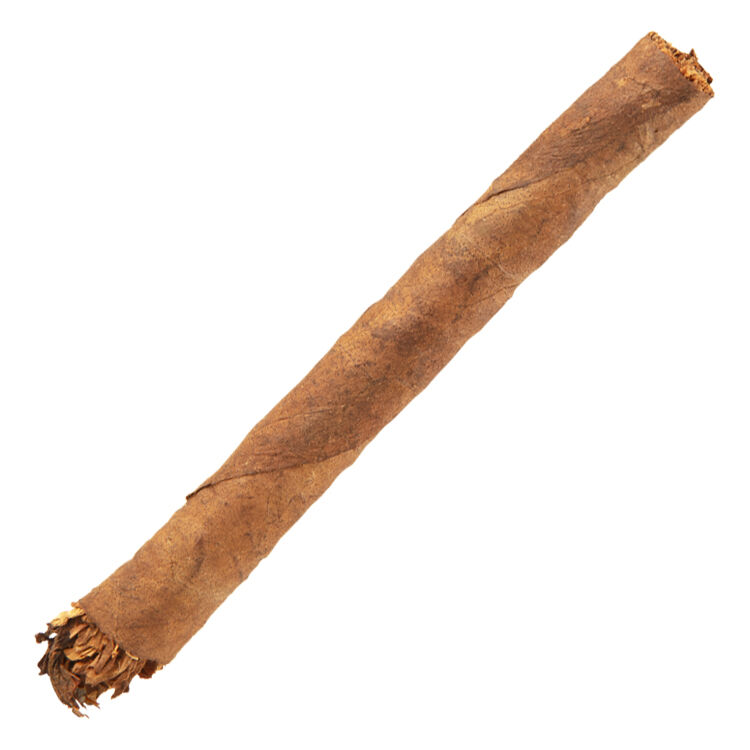 BWSC_single_up_1 BWSC_single_up_1